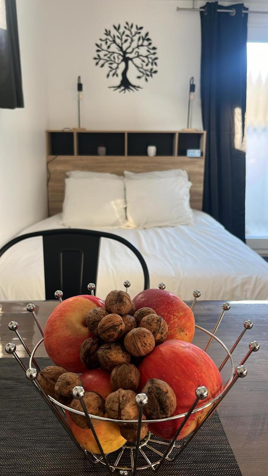 Studio Aux Pieds Des Vignes Eguisheim Zewnętrze zdjęcie