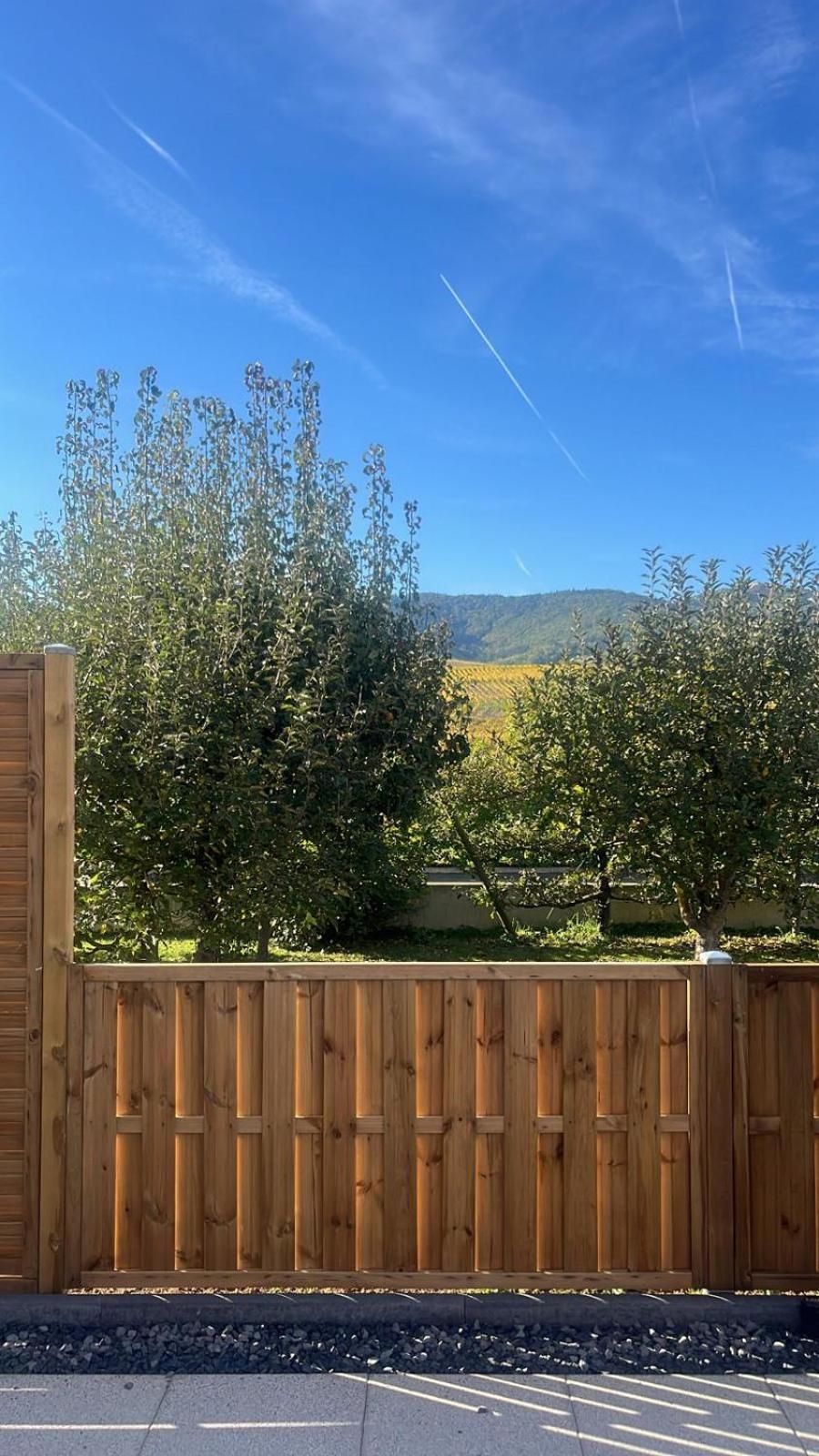 Studio Aux Pieds Des Vignes Eguisheim Zewnętrze zdjęcie